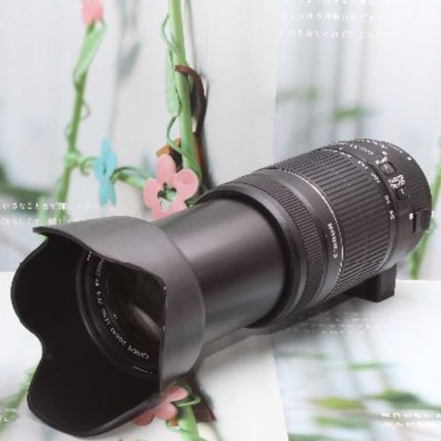 ❤️Canon用マウントアダプター＆EF-S 55-250 mm IS II❤️