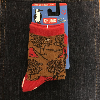 チャムス(CHUMS)のCHUMS キッズソックス(靴下/タイツ)