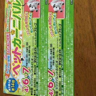 格安!!ペットカーニバル 入場券 ２枚(遊園地/テーマパーク)