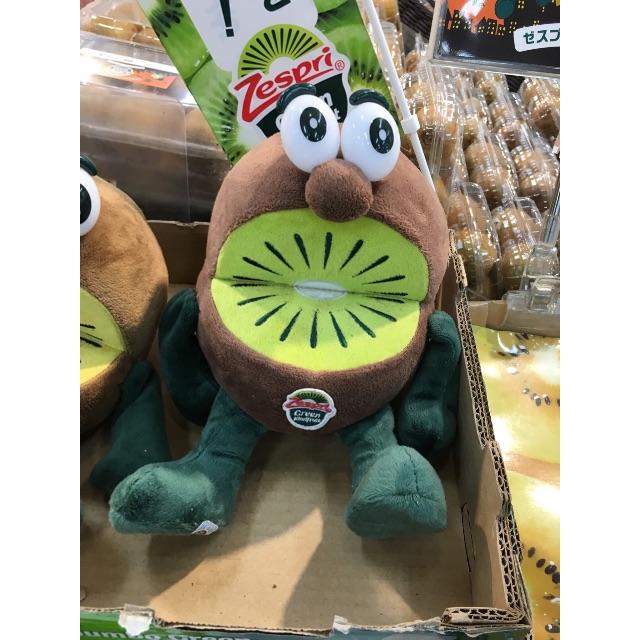 中古】 大阪大学 理系 （前期） 平成7年/駿台文庫/駿台予備学校