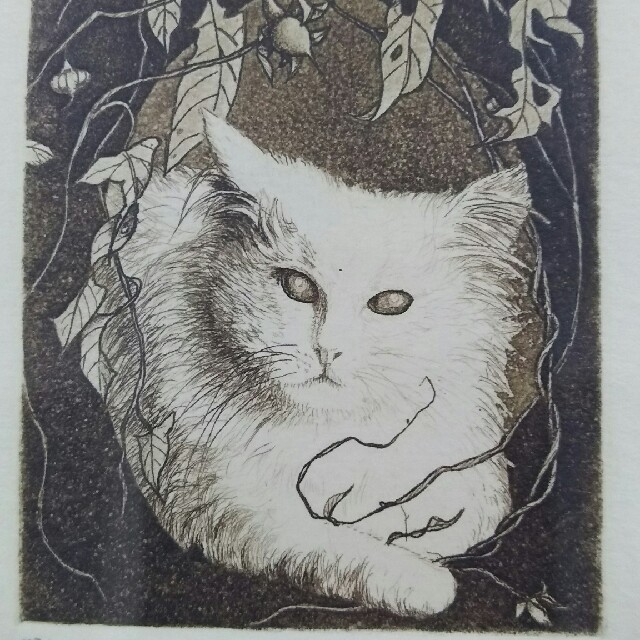 ツタと猫 エンタメ/ホビーのアート用品(絵画額縁)の商品写真