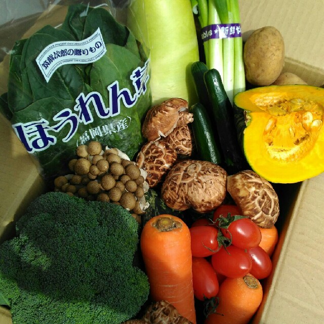 大人気✨九州産100サイズ新鮮春野菜12種類を箱いっぱい詰め合わせセット✨ 食品/飲料/酒の食品(野菜)の商品写真