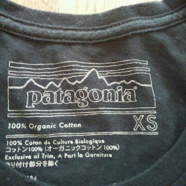 patagonia(パタゴニア)のパタゴニア MINYA 様専用 レディースのトップス(Tシャツ(半袖/袖なし))の商品写真