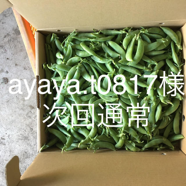 鹿児島産スナップエンドウ2キロ次回通常 食品/飲料/酒の食品(野菜)の商品写真