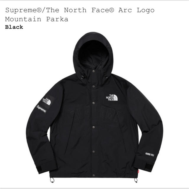 S supreme The north face mountain parka