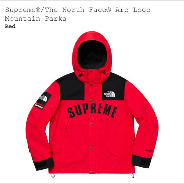 M supreme the north face mountain parka