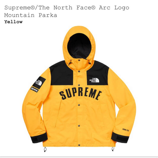 L supreme the north face mountain parka