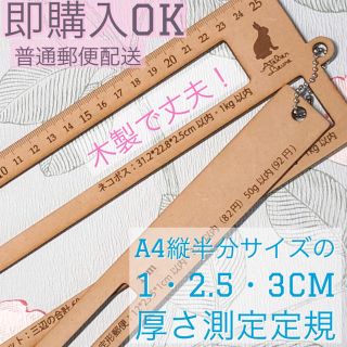 省スペース厚さ測定定規 1、2.5、3cm R58A (その他)