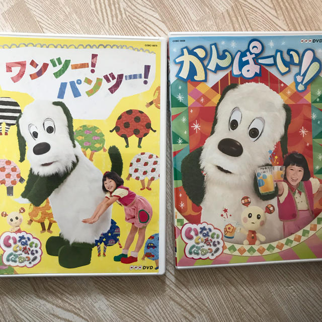 週末限定価格 いないないばぁ ワンツーパンツー かんぱーいDVD