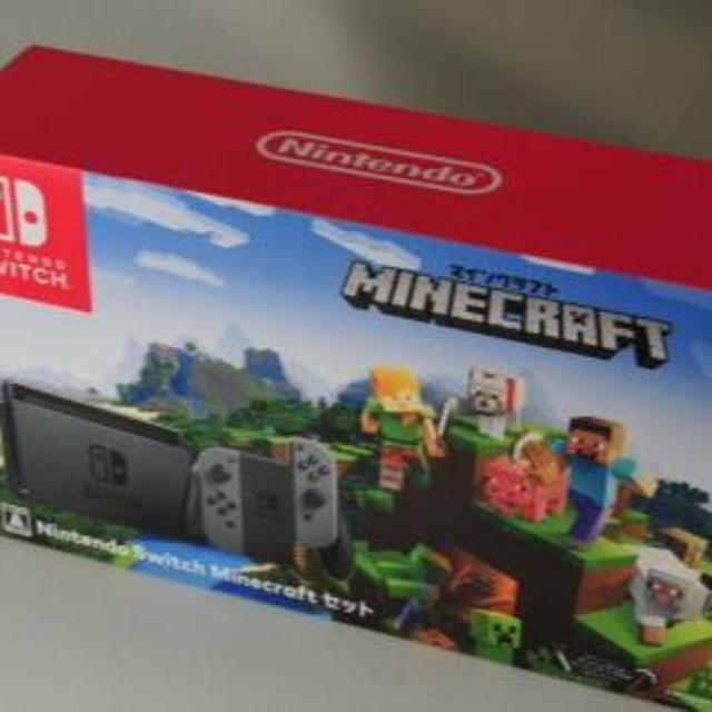 ★新品★　Nintendo Switch Minecraftセット商品名