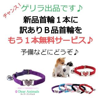 猫用首輪 ねこ首輪 小型犬用首輪 訳ありＢ品首輪を１本サービス♪ 003(猫)