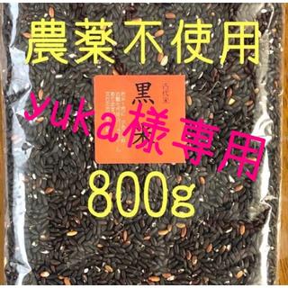 yuka 様専用 黒・赤・緑・3種ブレンド　愛媛県産　800ｇ(米/穀物)