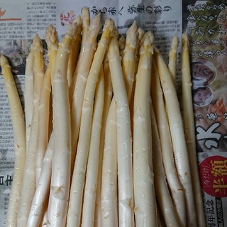 (限定！)佐賀県産ホワイトアスパラ1.8キロ(訳あり)(野菜)
