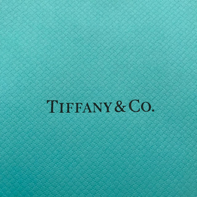 Tiffany & Co.(ティファニー)のTiffany ショップ袋 レディースのバッグ(ショップ袋)の商品写真