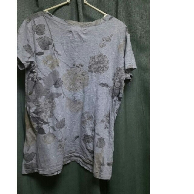 antiqua(アンティカ)の専用   antiqua  ボタニカル  Tシャツ レディースのトップス(Tシャツ(半袖/袖なし))の商品写真
