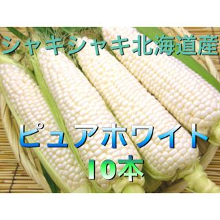 北海道産 ゆでトウモロコシ (野菜)