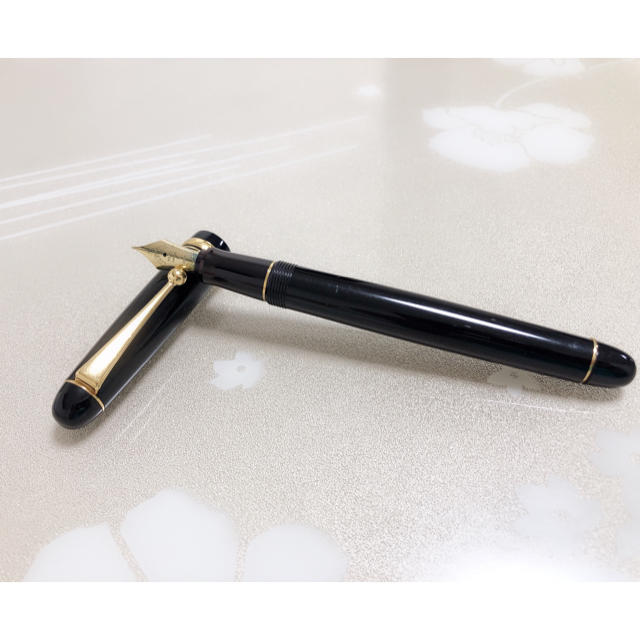 P018 パイロット カスタマ 万年筆 ペン先 14K 585 日本製 fruut.pt
