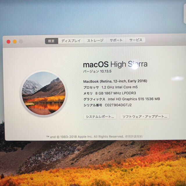 MacBook 12インチ Retina Early 2016 ゴールド 1