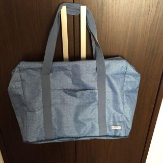 レスポートサック(LeSportsac)のレスポートサック ムック 付録(トートバッグ)