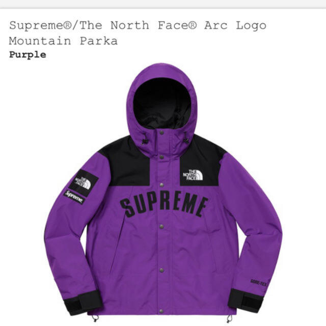 Supreme(シュプリーム)の19ss  SUPREME× NORTH FACE mountain parka メンズのジャケット/アウター(マウンテンパーカー)の商品写真