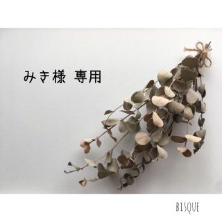 みき様 専用 リピ  (その他)