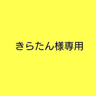 ニンテンドー3DS(ニンテンドー3DS)のきらたん様専用(その他)