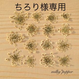 オーダー品 ドライフラワー 押し花 小花ミックス レースフラワー (ドライフラワー)