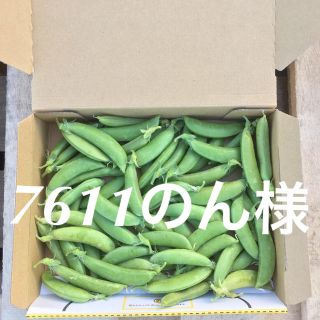 鹿児島産スナップエンドウ箱込み500g^_^(野菜)