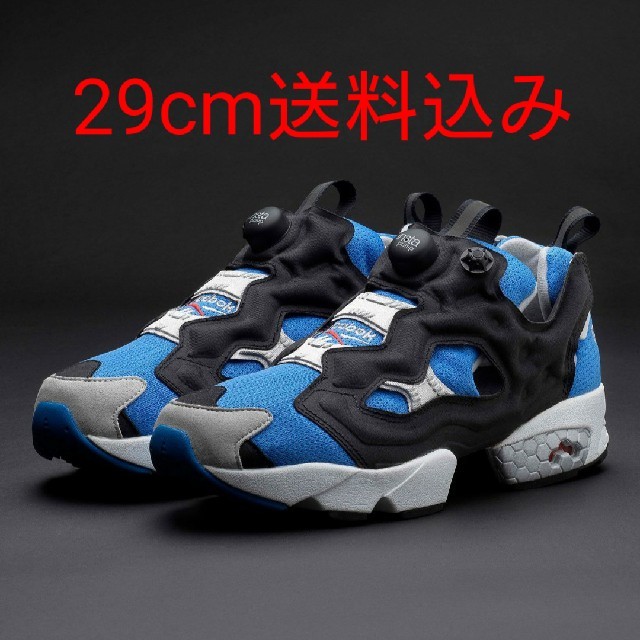 国内正規品 29cm サックス [INSTAPUMP FURY OG]