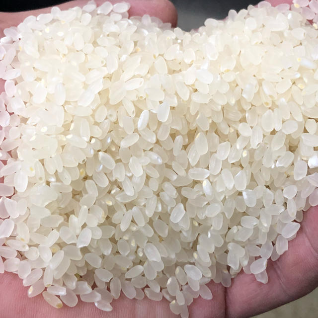 農家直送の美味しいお米 あきだわら お米10キロ お米10㎏ 3