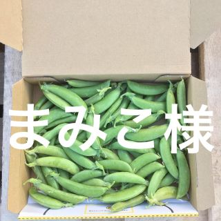 鹿児島産スナップエンドウ箱込み500g^_^(野菜)