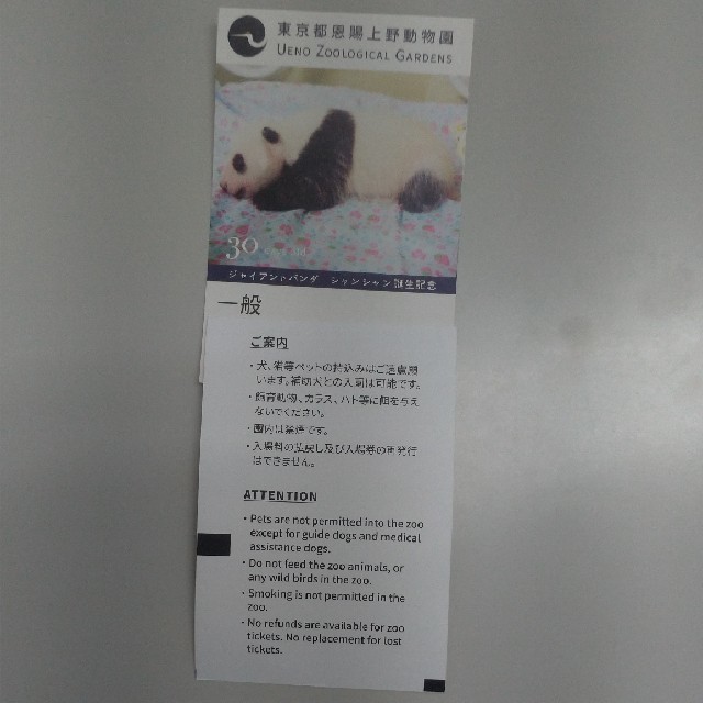 上野動物園　大人入場券2枚セット即購入OK チケットの施設利用券(動物園)の商品写真