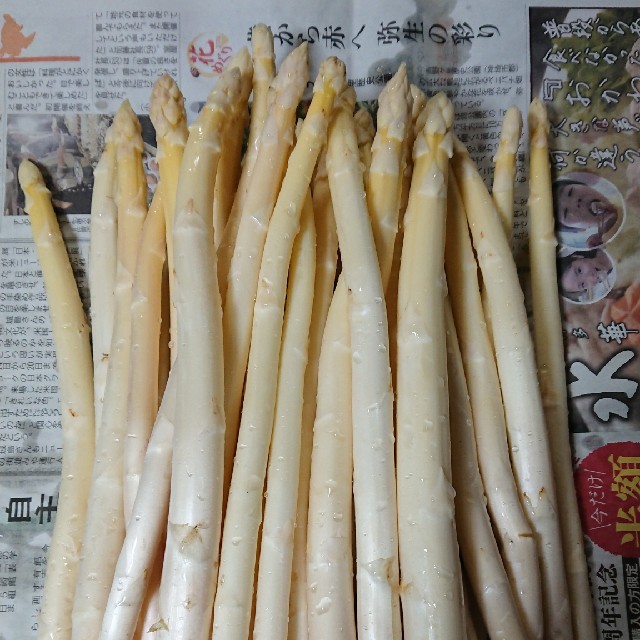 佐賀県産ホワイトアスパラ1.8キロ(訳あり) 食品/飲料/酒の食品(野菜)の商品写真