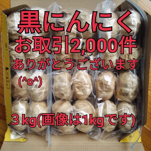 熟成黒にんにく３キロ食品衛生責任者許可あり - その他