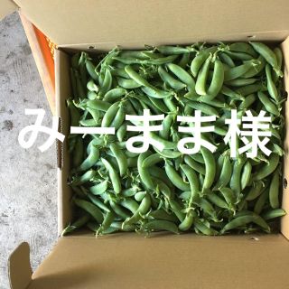 鹿児島産スナップエンドウ2キロ^_^(野菜)