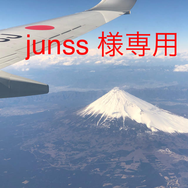 JAL(日本航空)(ジャル(ニホンコウクウ))のjunss様専用 JAL 都道府県シール エンタメ/ホビーのテーブルゲーム/ホビー(航空機)の商品写真