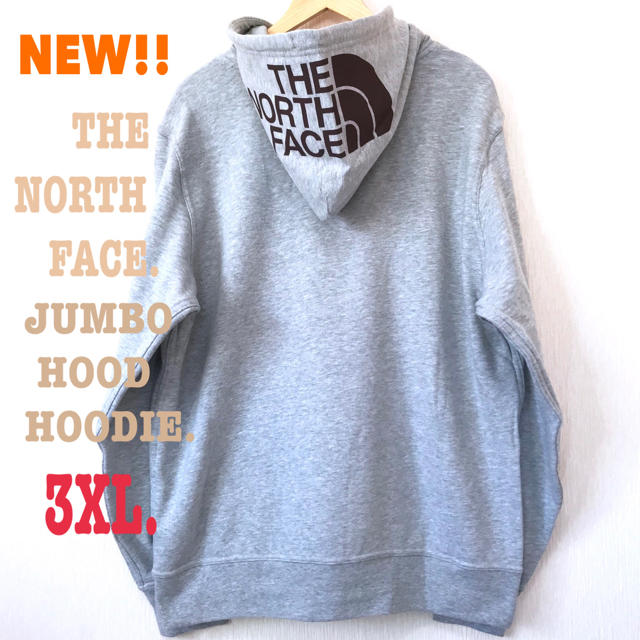 THE NORTH FACE(ザノースフェイス)の3XL相当 新品 ノースフェイス リアビュー フードロゴ パーカー XXL  メンズのトップス(パーカー)の商品写真