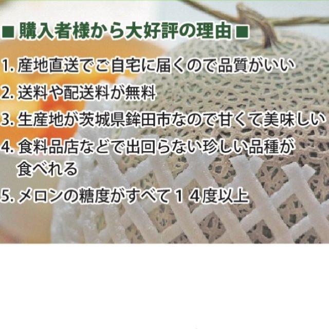 産地直送 茨城県鉾田市産 むつみレッド 5kg 4玉〜6玉 糖度15度 メロン 食品/飲料/酒の食品(フルーツ)の商品写真