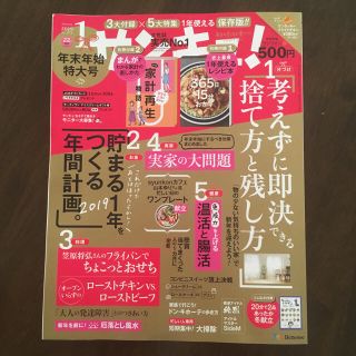 サンキュ☆2019年１月号(住まい/暮らし/子育て)