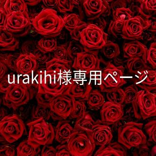 urakihi様専用ページ(その他)