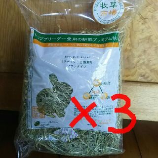 牧草市場 USチモシー 2番刈り(小動物)