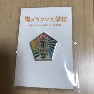 アラシ(嵐)の嵐ワクワク學校2012 ピンバッチ(男性アイドル)