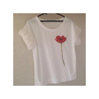 ドットアンドストライプスチャイルドウーマン(Dot&Stripes CHILDWOMAN)のDot&Stripes ○ トップス(Tシャツ(半袖/袖なし))