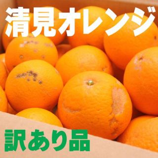 訳あり清見オレンジ7.5ｋｇ　和歌山県から農園直送！(フルーツ)