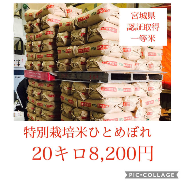 食品新米☆大粒☆特A取得☆宮城県産ひとめぼれ20キロ