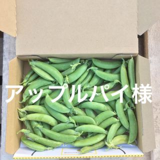 鹿児島産スナップエンドウ箱込み500g^_^(野菜)