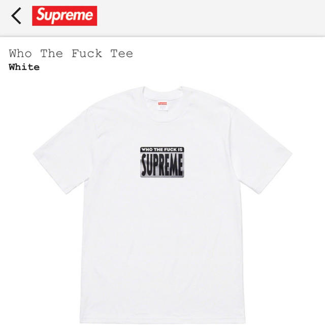 supreme 19ss who the fuck tee