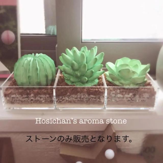 多肉 アロマストーン 3点 セットの通販 by Hosichan's aroma stone｜ラクマ