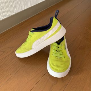 プーマ(PUMA)のPUMA 17cm(スニーカー)