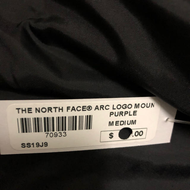 Supreme(シュプリーム)のSupreme North Face Mountain Parka Purple メンズのジャケット/アウター(マウンテンパーカー)の商品写真